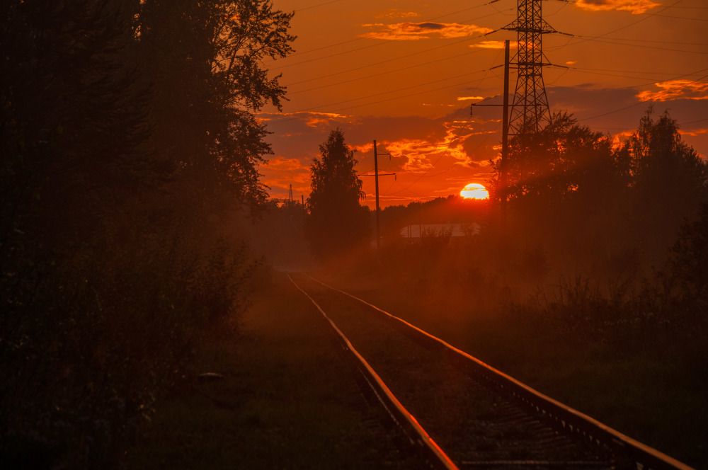 Photograph by Артём Шестаков