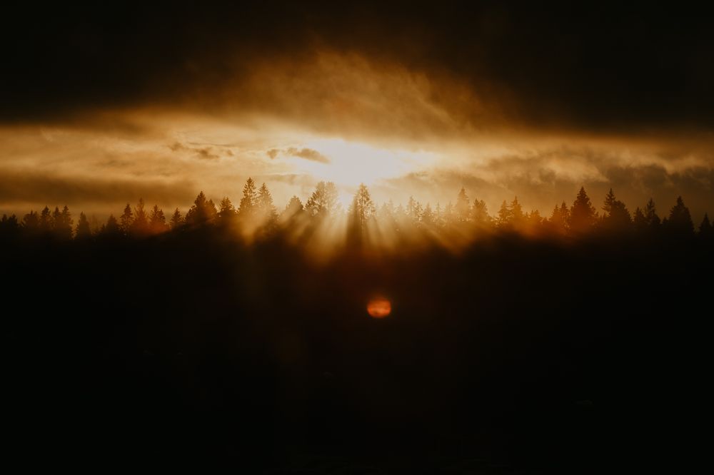 Photograph by Сергей Леканов