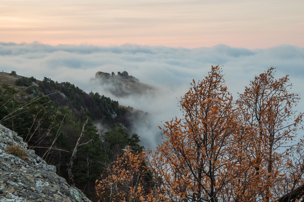 Photograph by Анастасия Григорян