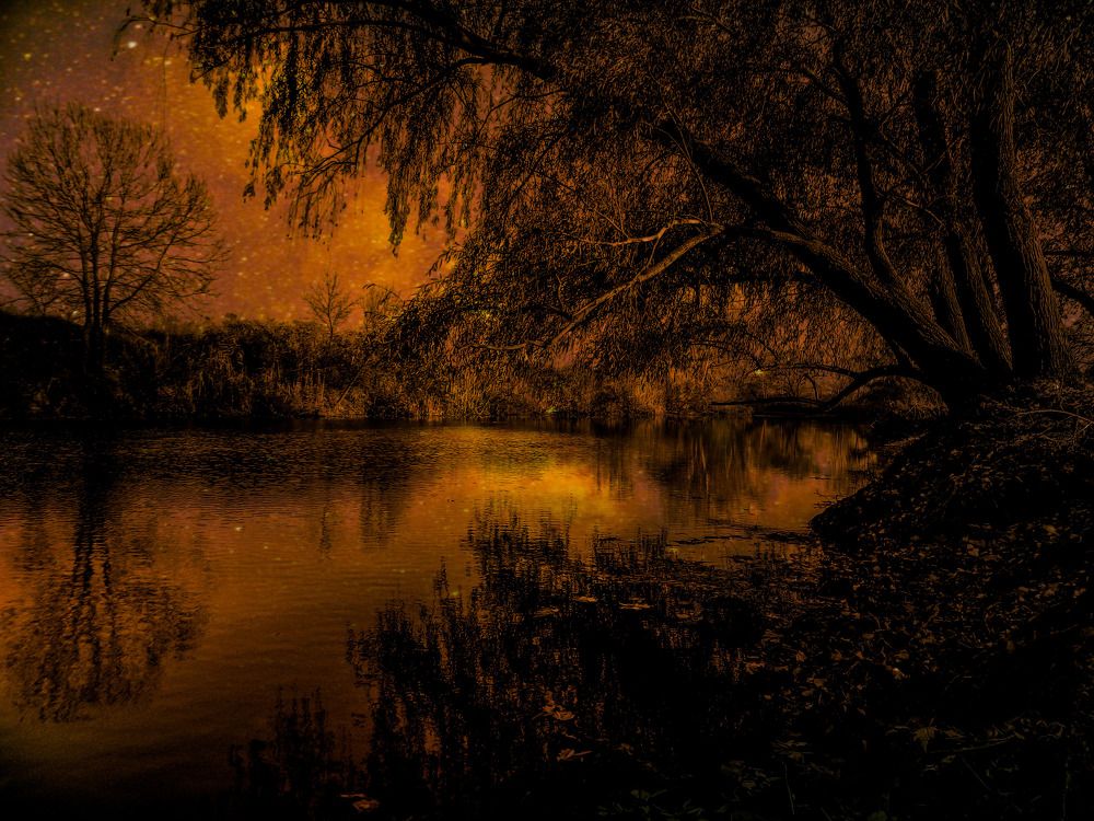 Photograph by Sergey Velichko