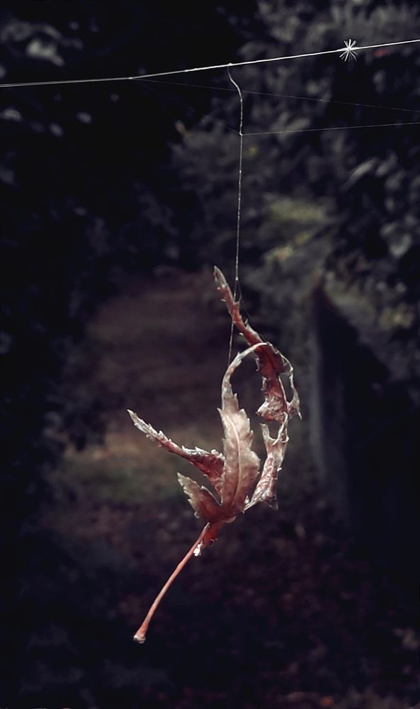 Последний танец..