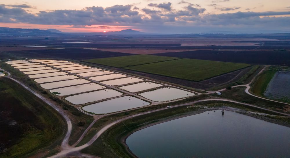 Photograph by Михаил Домешек