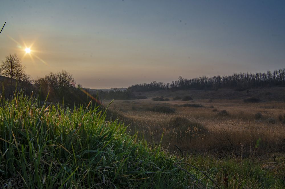 Photograph by Александр Леонов