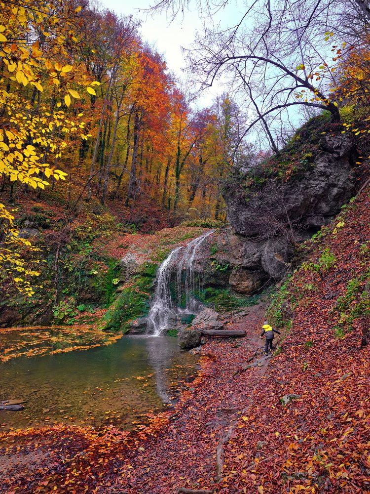 Photograph by Ирина