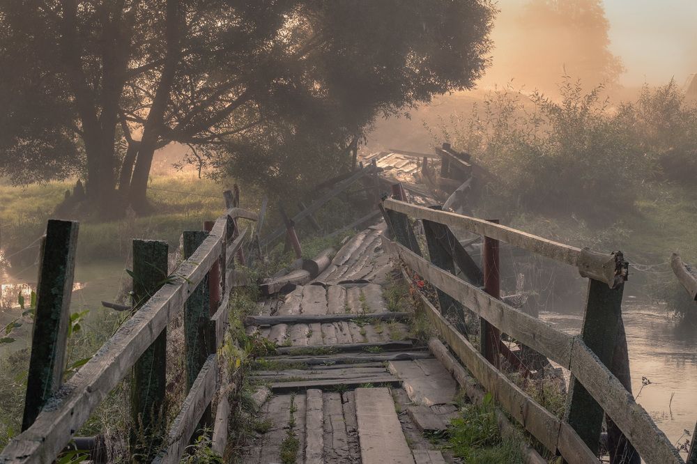 Фотография автора Андрей Чиж
