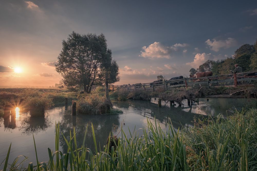 Фотография автора Андрей Чиж