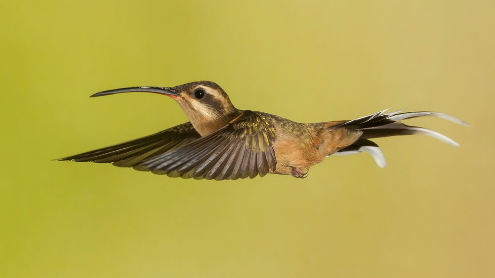 Photograph by Esteban Argerich