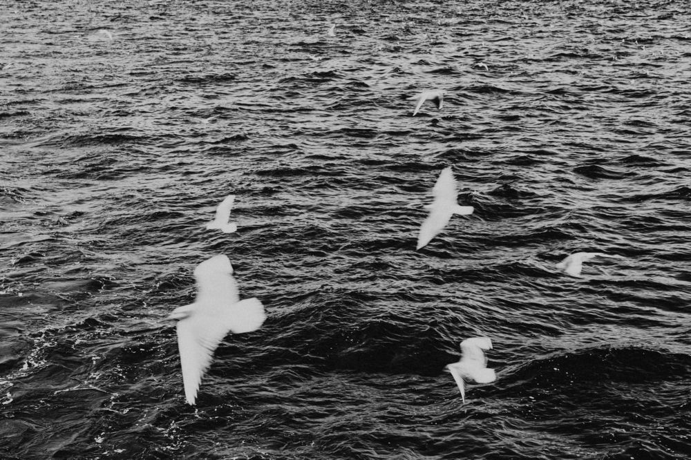 Photograph by Илона Горецкая