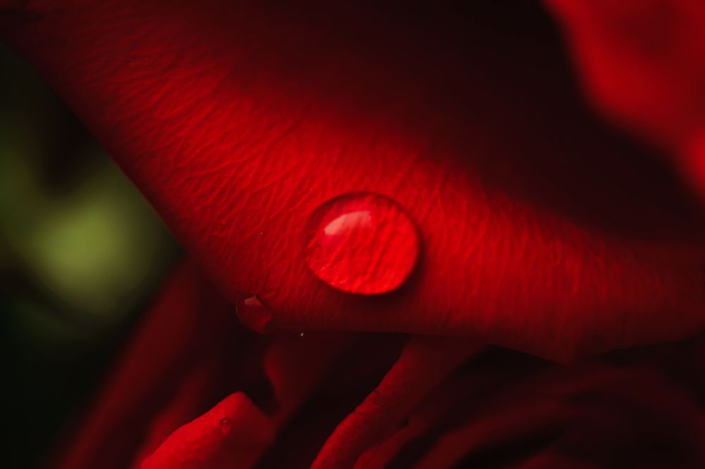 Photograph by Анастасия Селезнева