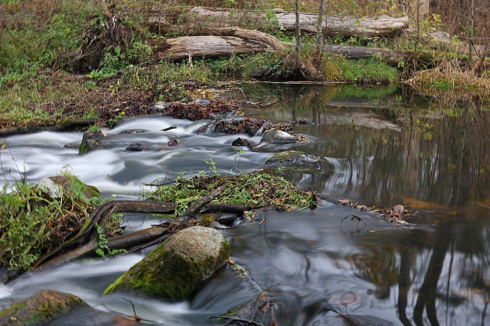 Фотография автора Andrzej