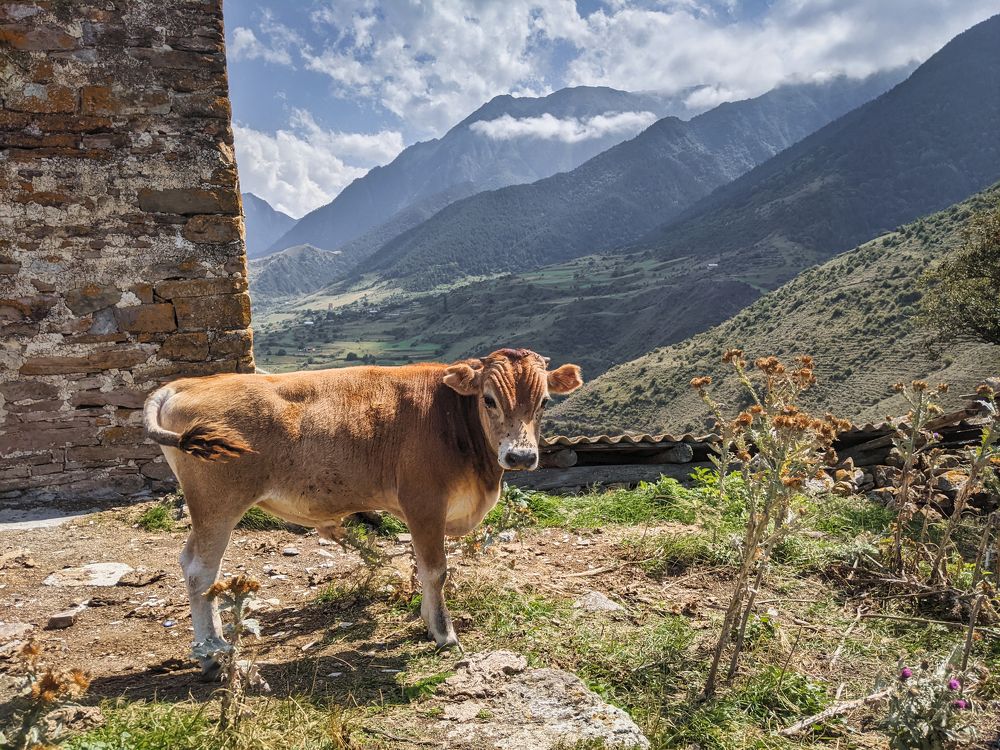 Photograph by Александр Дудников