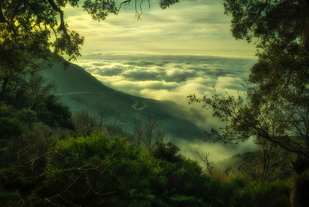 Photograph by FETHI Bouhaouchine