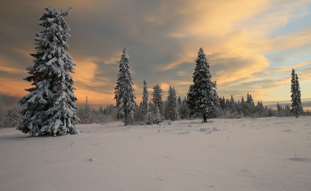 Фотография автора Юрий Кетель