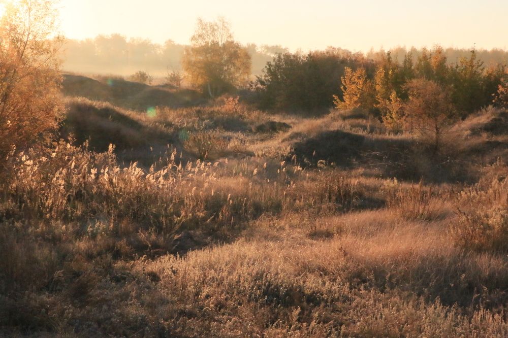Photograph by Александр Пузиков