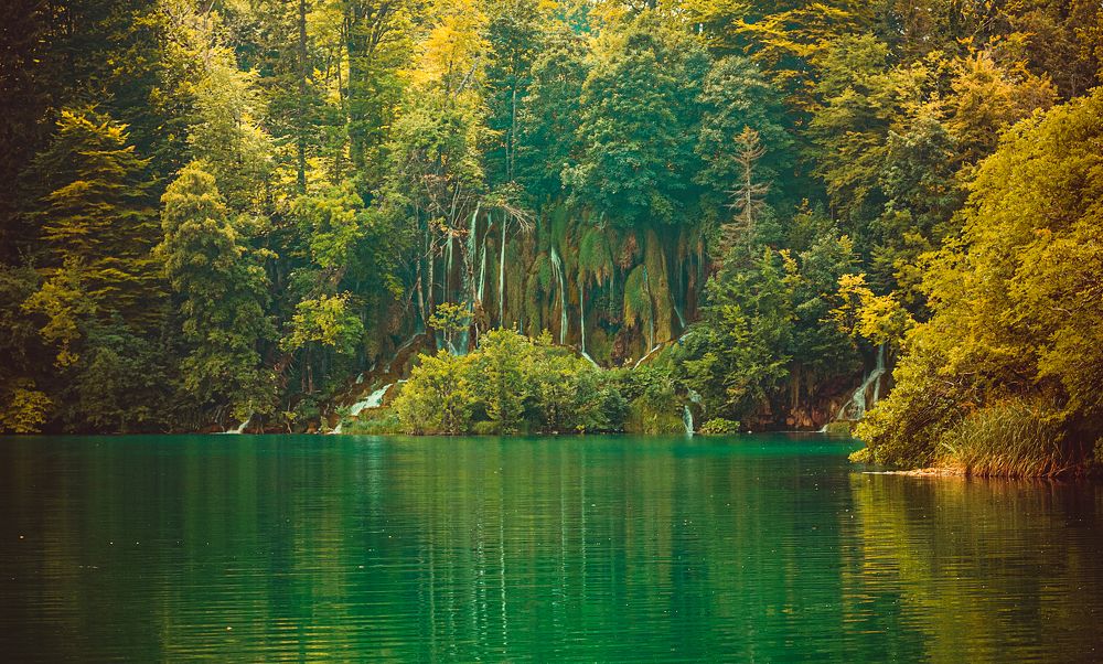 Фотография автора Анна Власенко