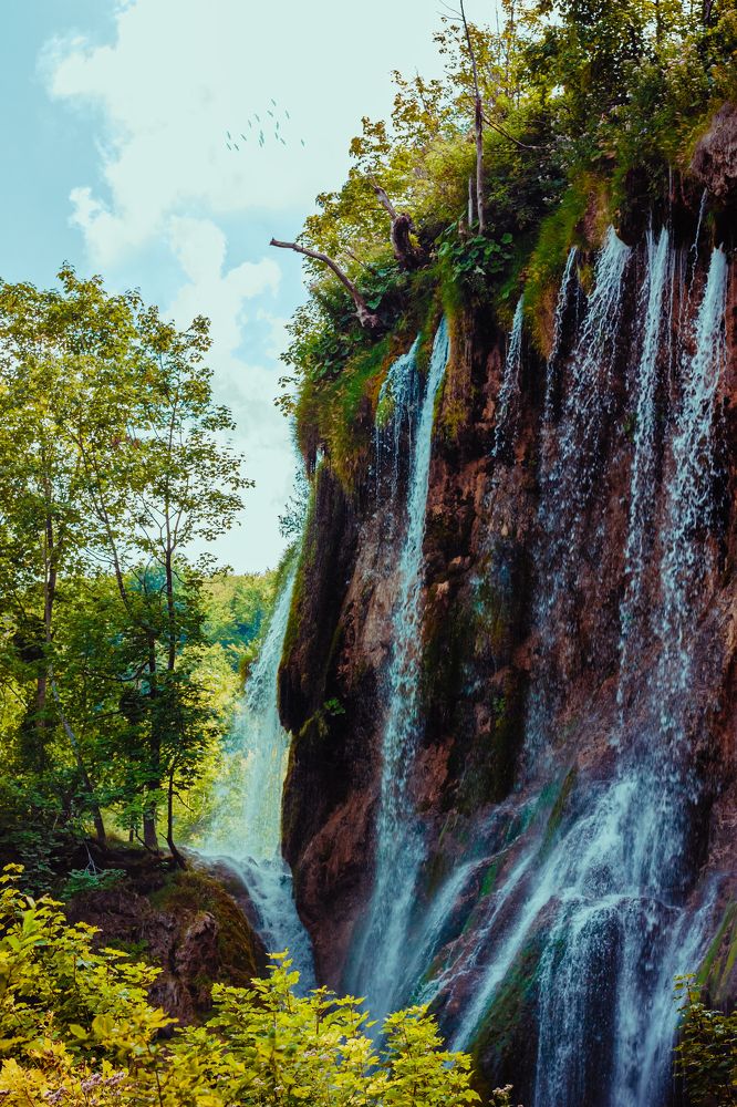 Фотография автора Анна Власенко