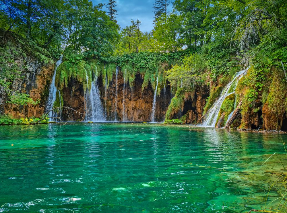 Фотография автора Анна Власенко