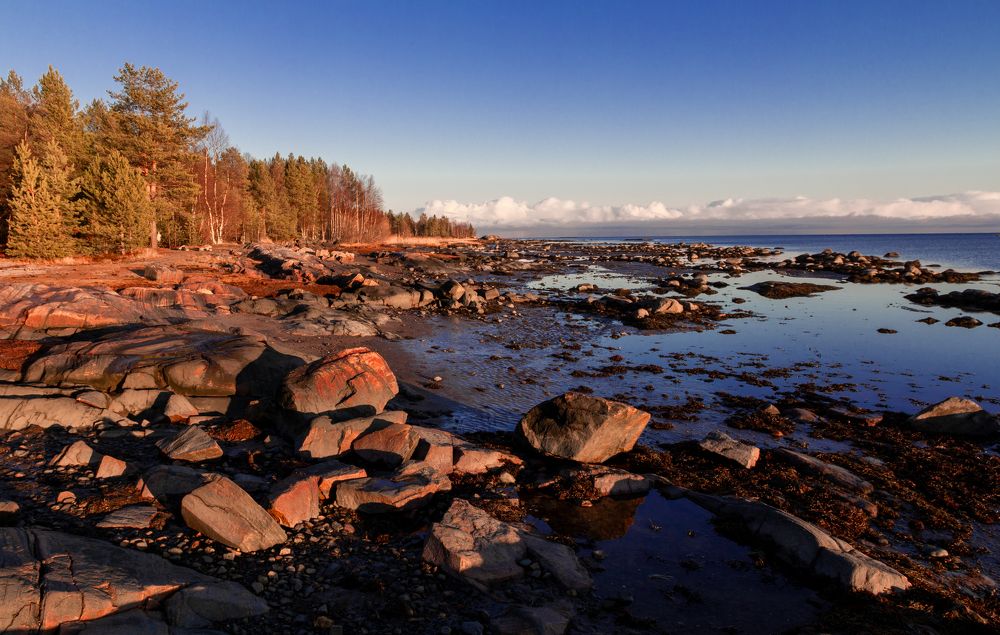 Photograph by Николай