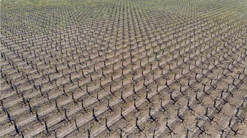 Photograph by Ariel Kergall