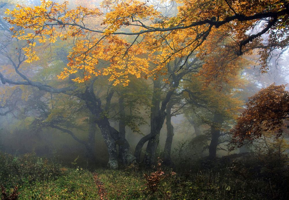 Фотография автора Милокост Алексей
