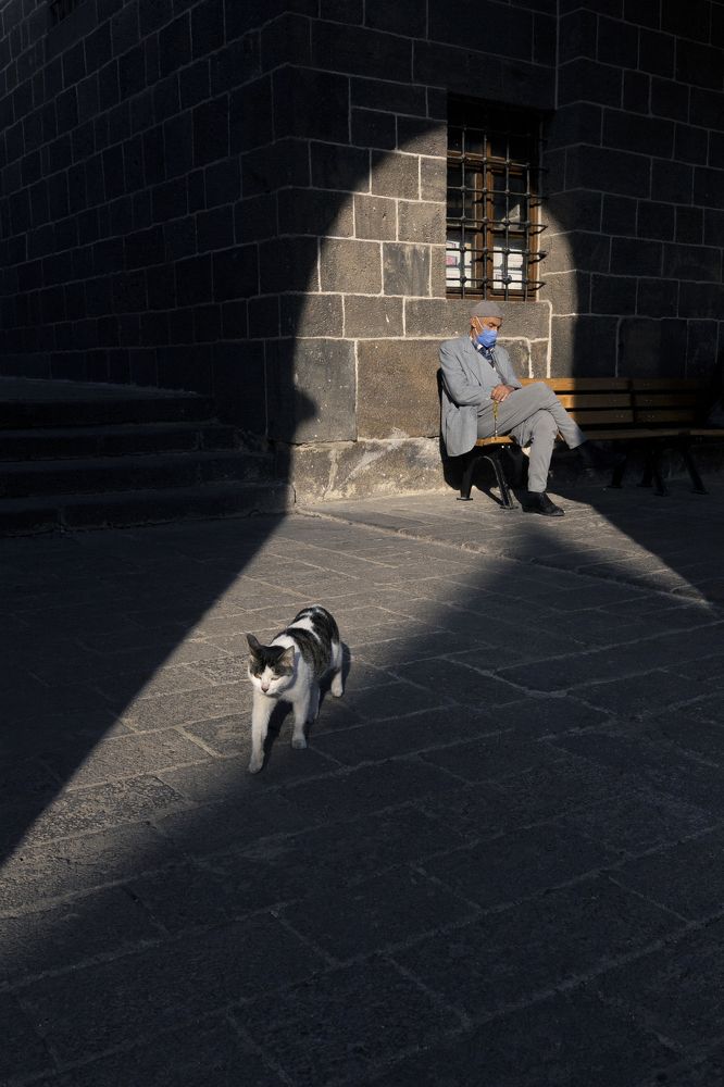 Photograph by Veysi ARCAGÖK