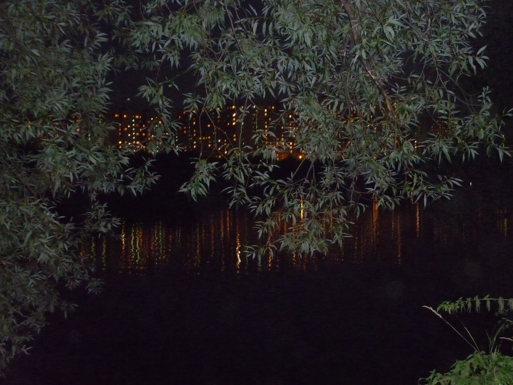 Фотография автора Людмила Леонова