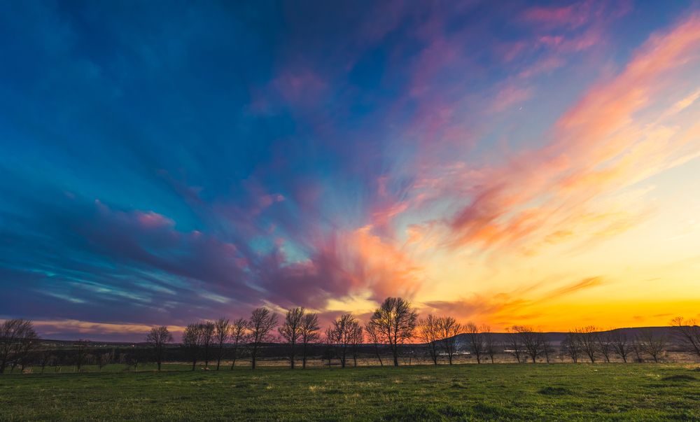 Photograph by Максим Поздеев