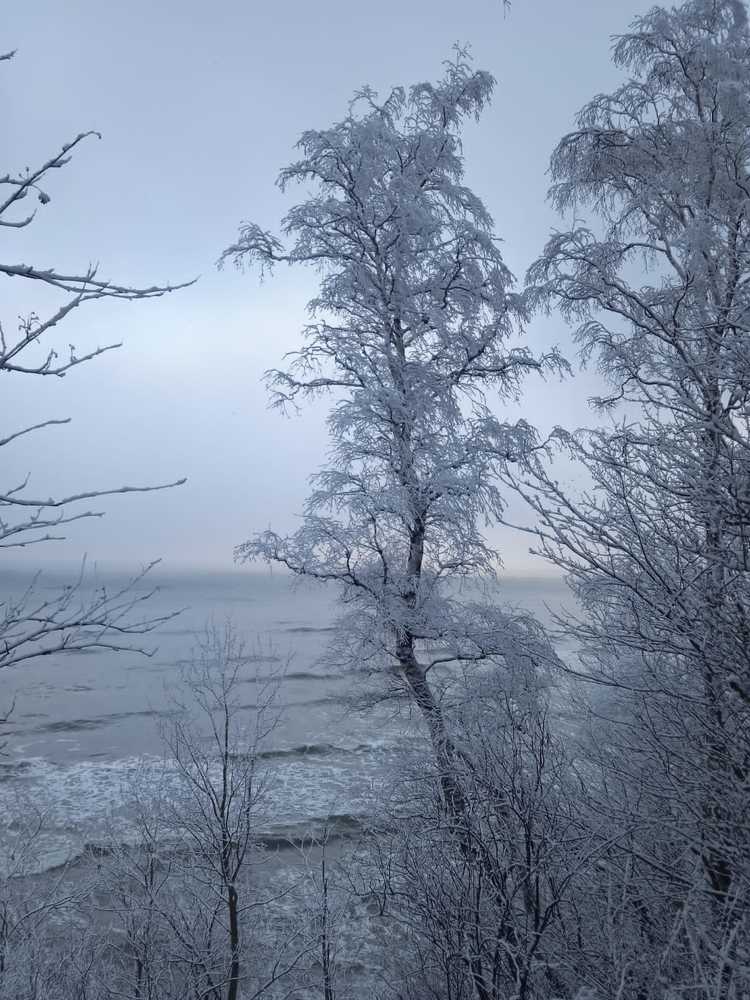 Фотография автора Татьяна Еськина