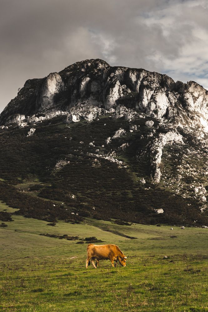 Photograph by Murcia J. A.