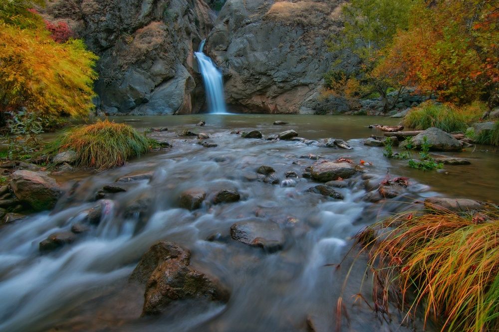 Фотография автора Alipour mohammad