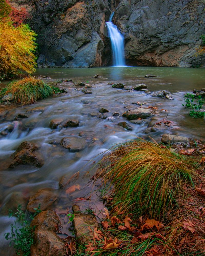 Фотография автора Alipour mohammad