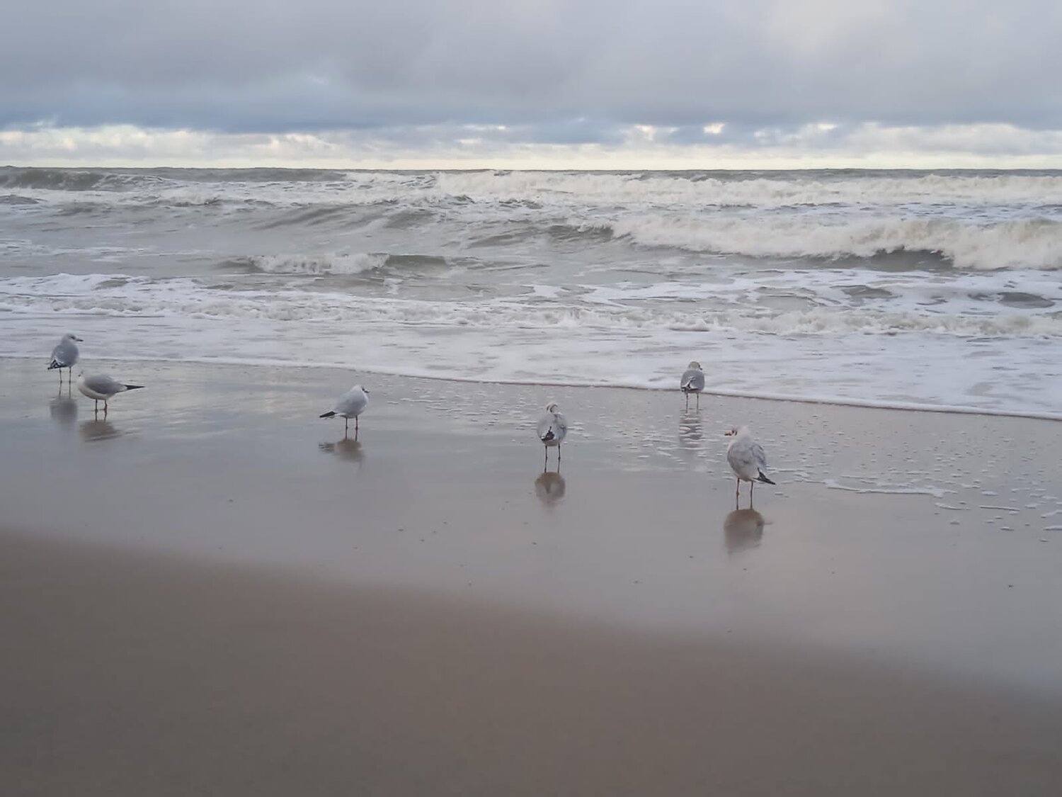 Photo #6819875
