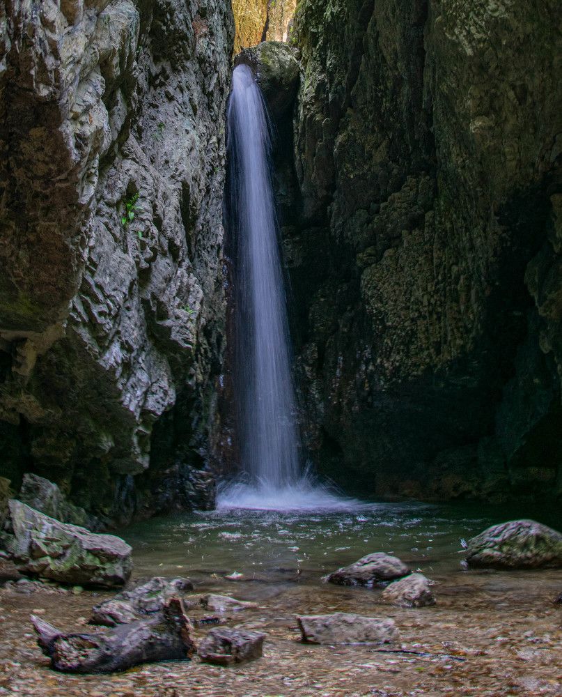 Фотография автора Оксана Белозерская