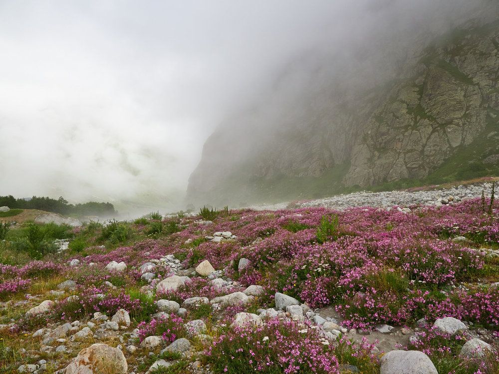 Photograph by Ирина