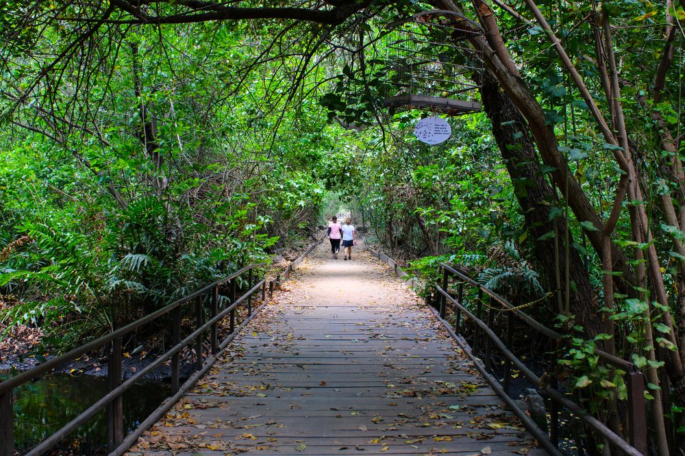 Фотография автора Cavalcante Pinheiro Filho José Flávio