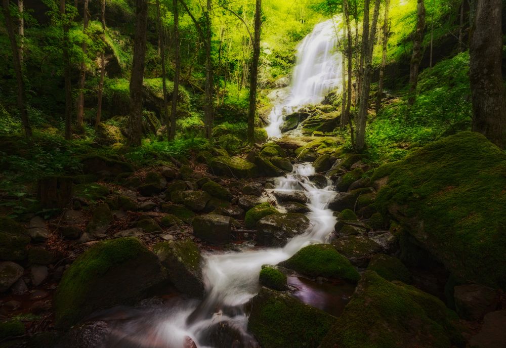 Photograph by Эрнест Вахеди