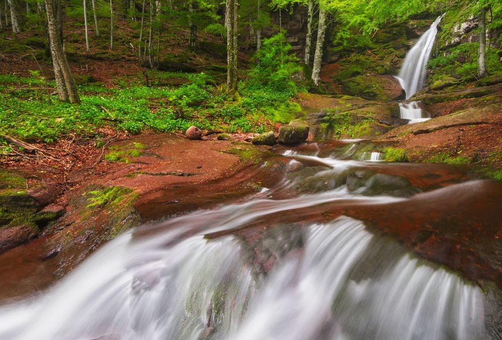 Photograph by Эрнест Вахеди