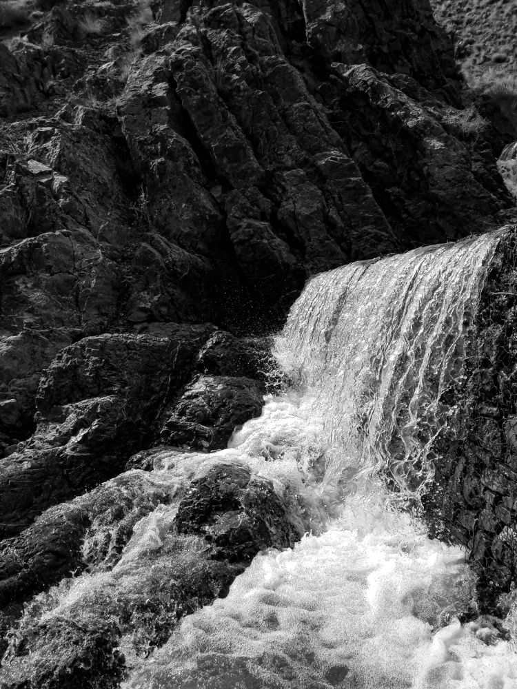 Photo #6820083
