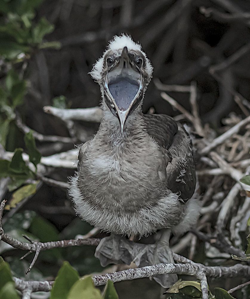 Фотография автора andrey gagarin