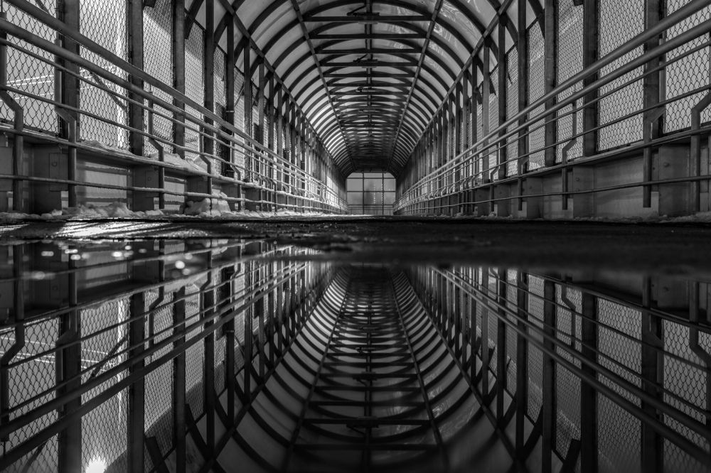 Photograph by Sergey Uskov