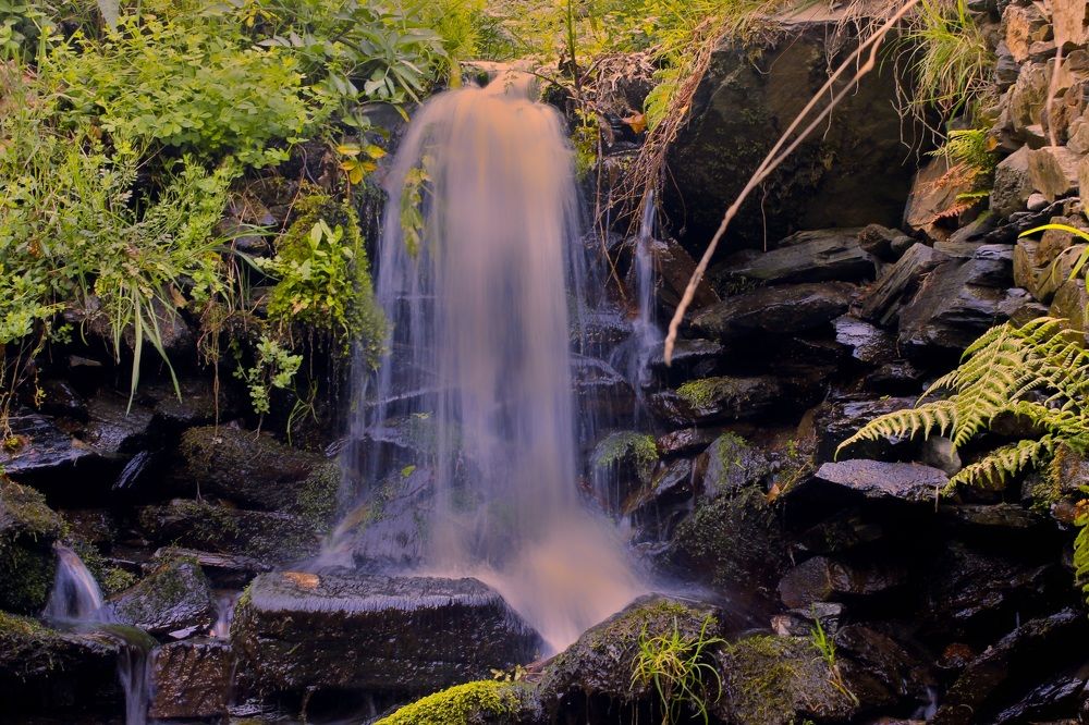 Photograph by Francisco Ferreira