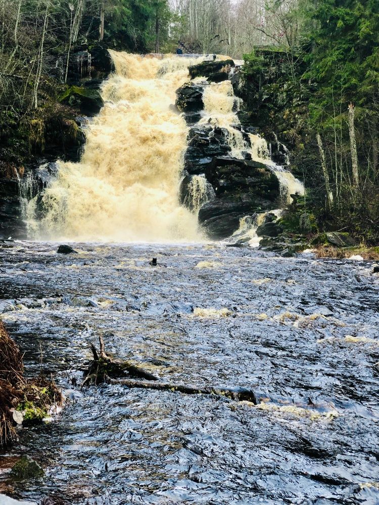 Photograph by ЮЛИЯ СУЛИМОВА