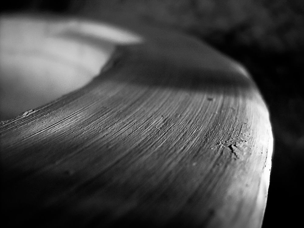 Фотография автора Tomas Manuel Fonte Hernandez