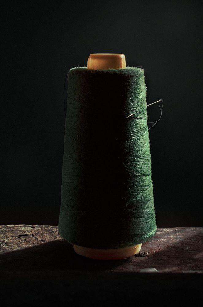 Фотография автора Tomas Manuel Fonte Hernandez