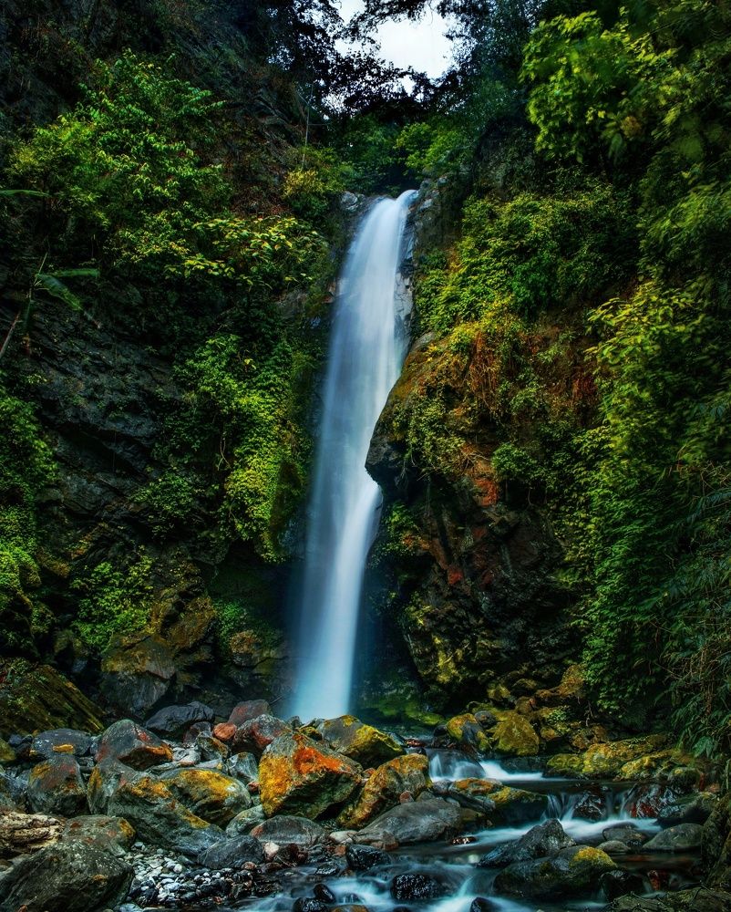 Photograph by Bondhu Dey