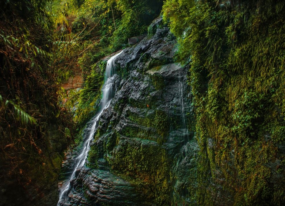 Photograph by Bondhu Dey