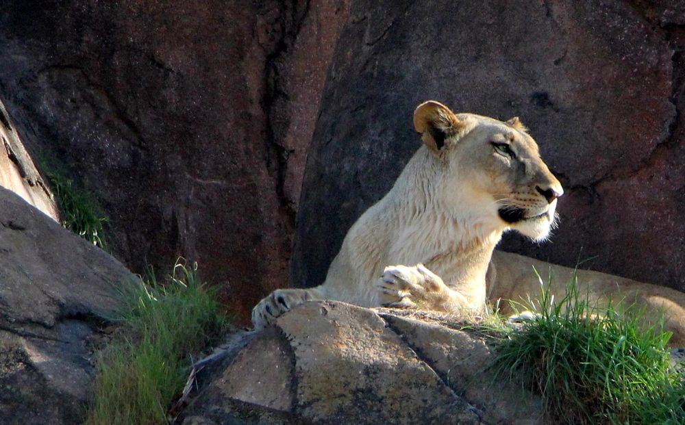 Photograph by ANTONIO LAFAIETE PAPAIANO