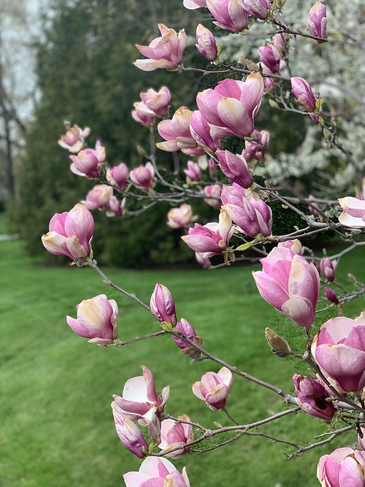 Photograph by Liliana Grup