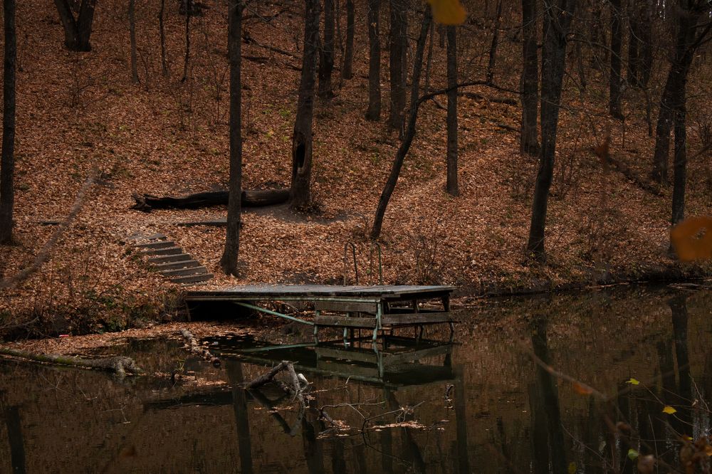 Мостик у озера в призрачном лесу