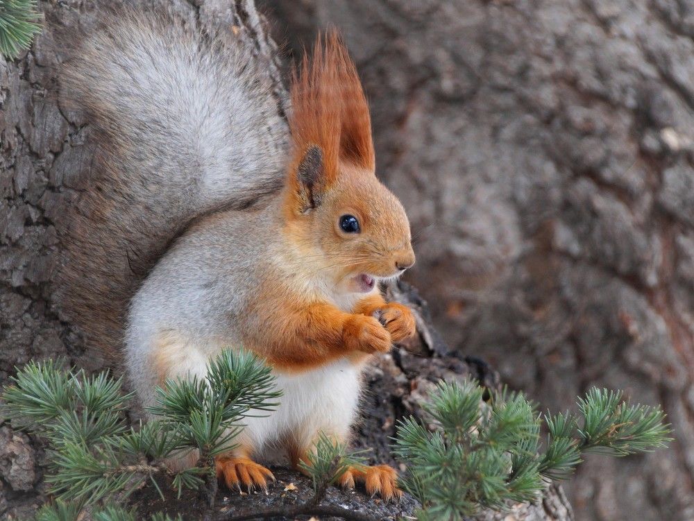 Photograph by Наталья Степаненко